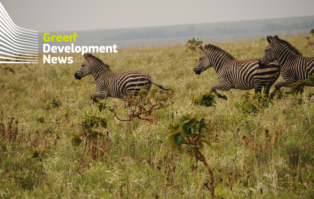 Green Development News, newsletter