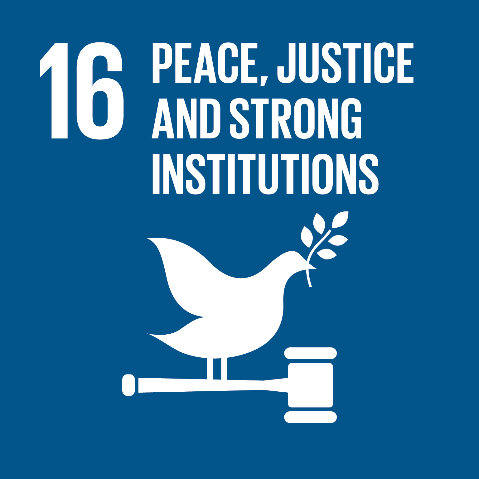 SDG 16 - Peace, Justice and strong institutions