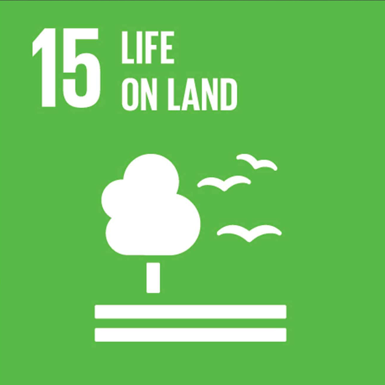 SDG 15 - Life on Land