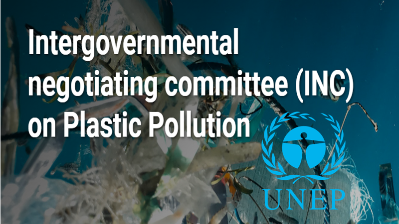 Intergovernmental Negotiating Committee on Plastics