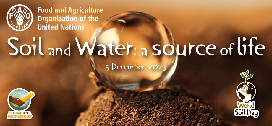 World soil day