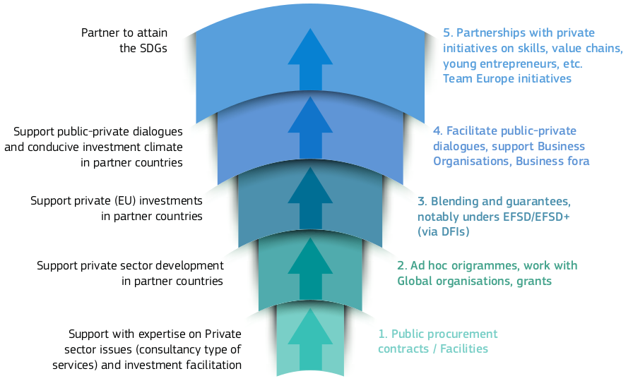 Engagement with the private sector in a Team Europe approach