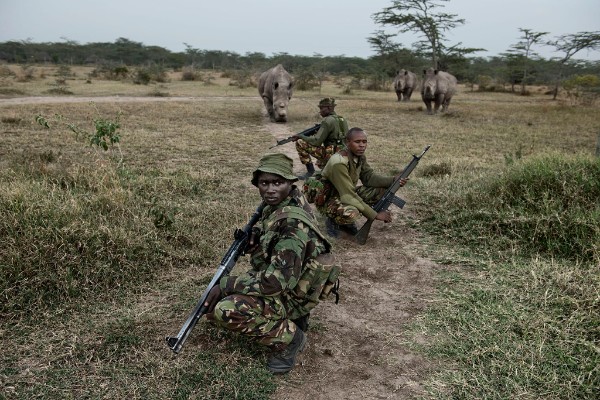 Soldiers in the Savannah