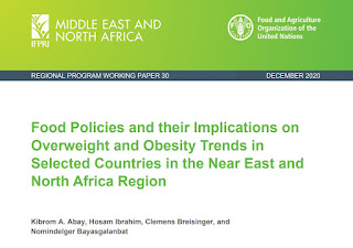 IFPRI Obesity