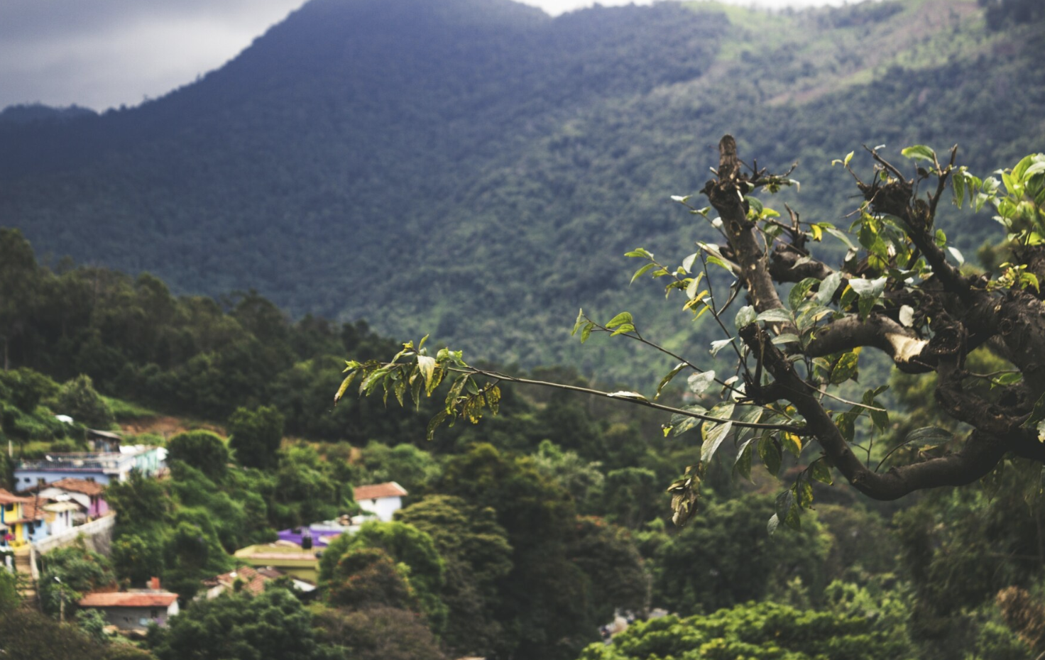 Guatemala