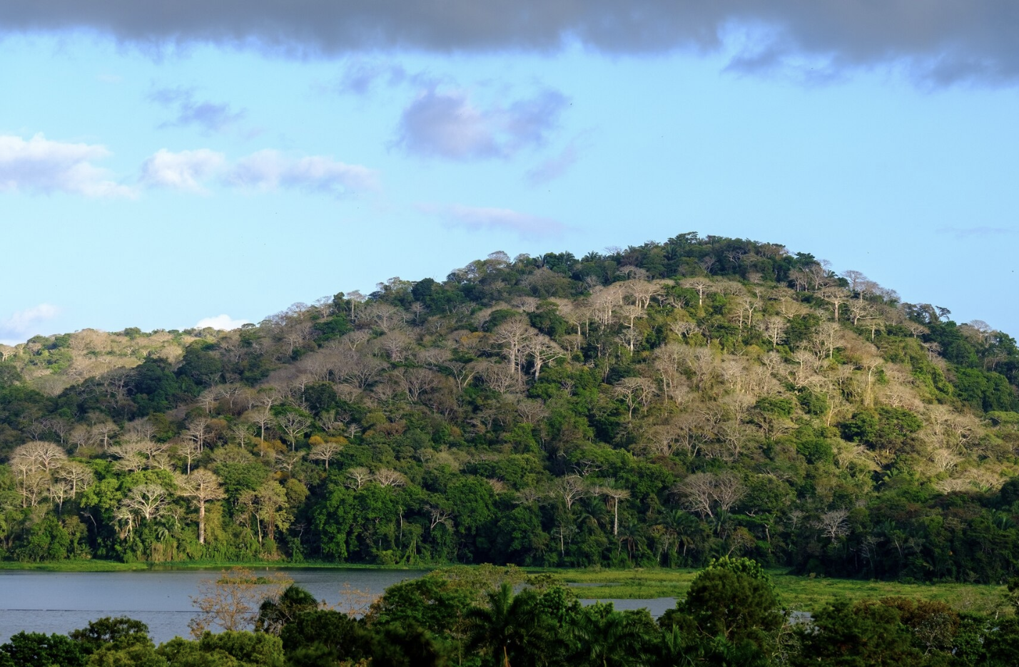 solomon islands