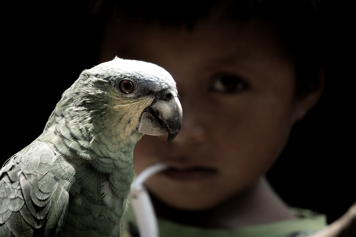 A look Jaime Aníbal Venegas Gavilanes, Ecuador