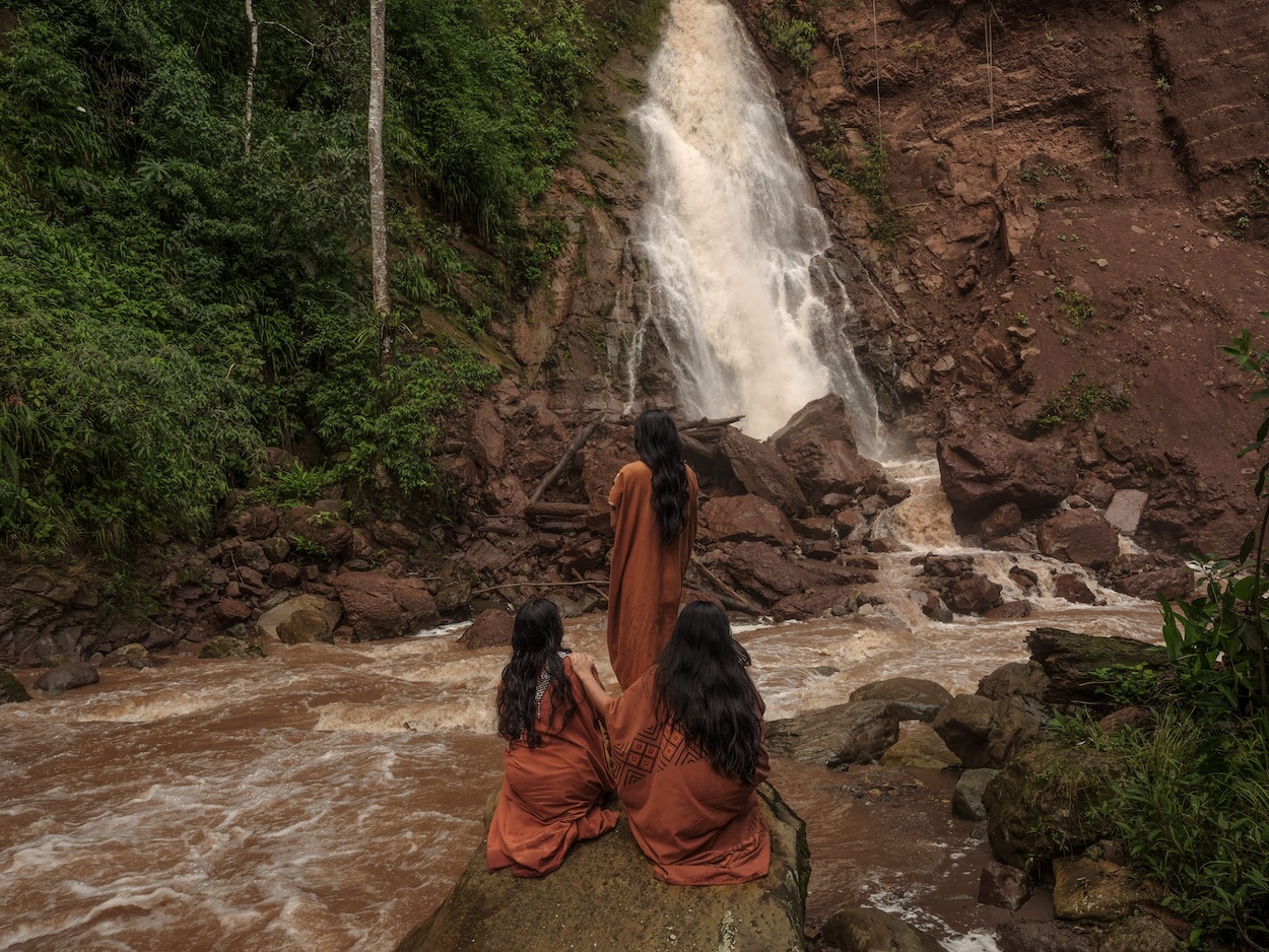 Cecilia, voices of conservation