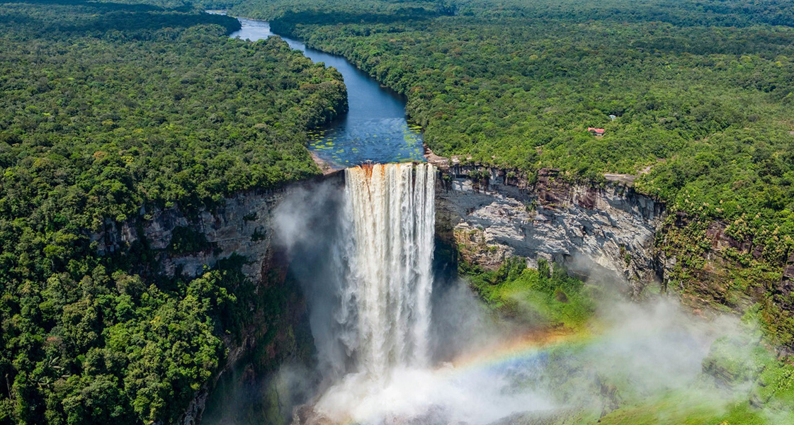 Guyana-Forest