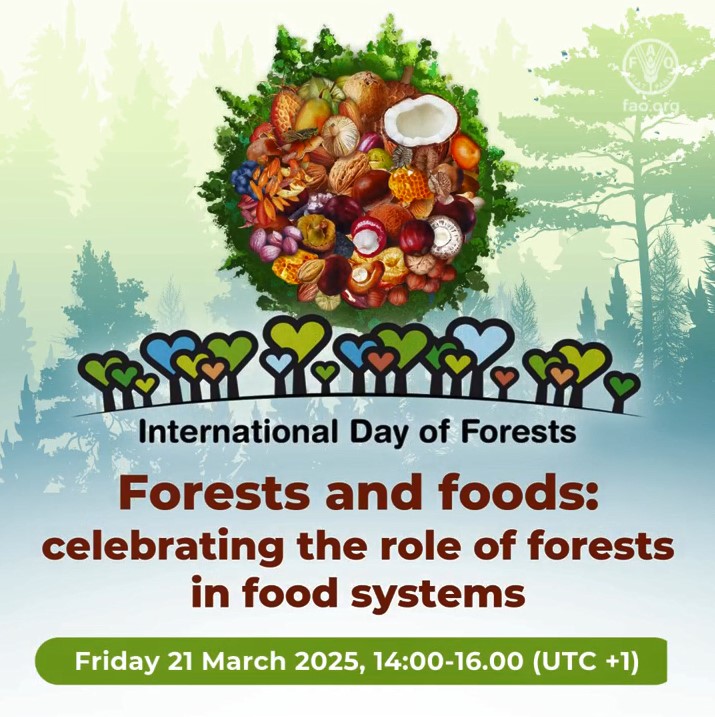 International Day of Forests