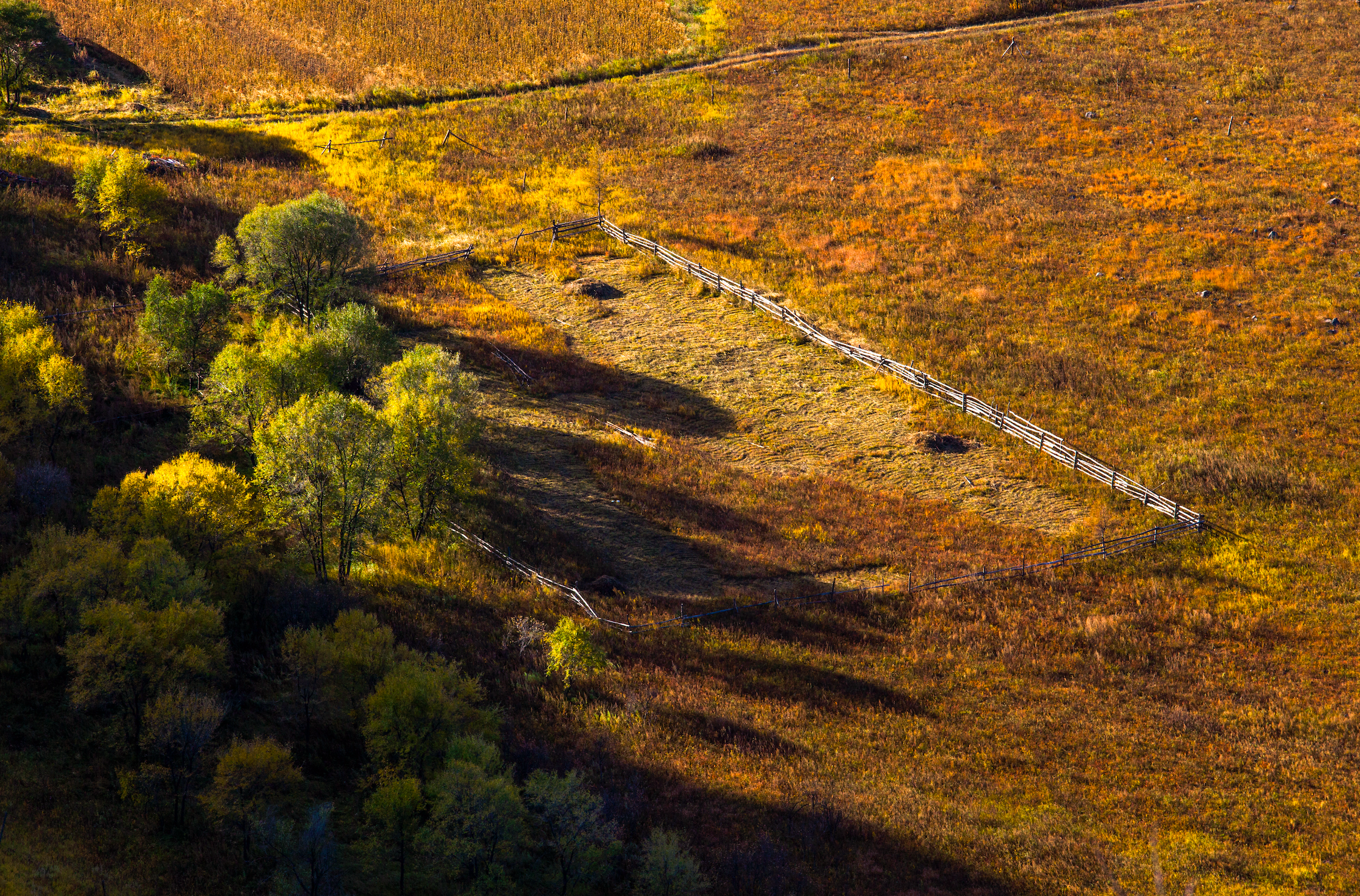 Prairie in Mongolia