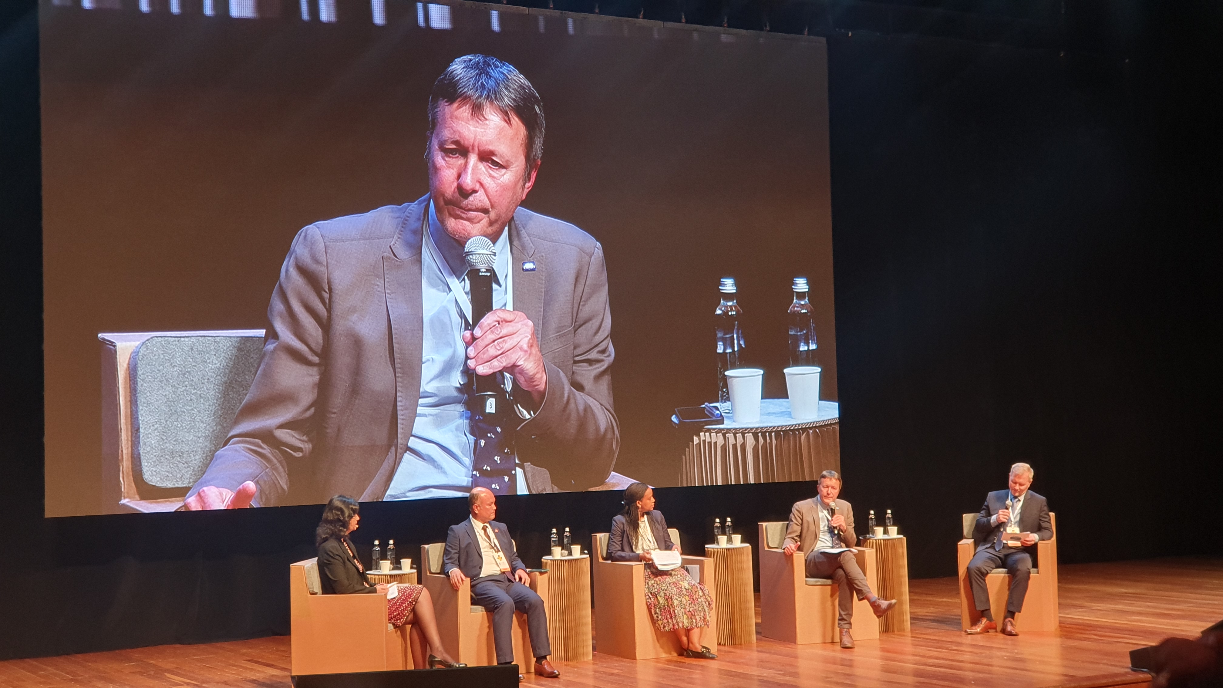 Panel at WCEF