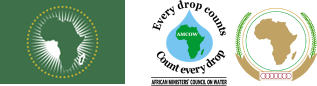 African organisations