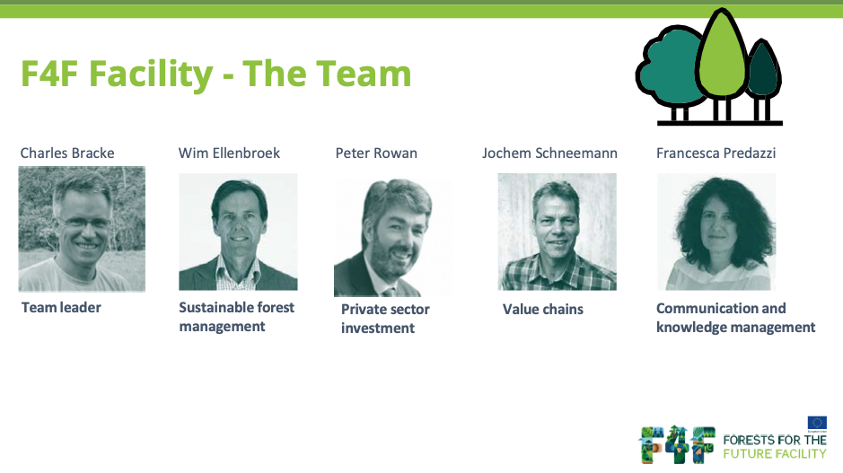F4F team