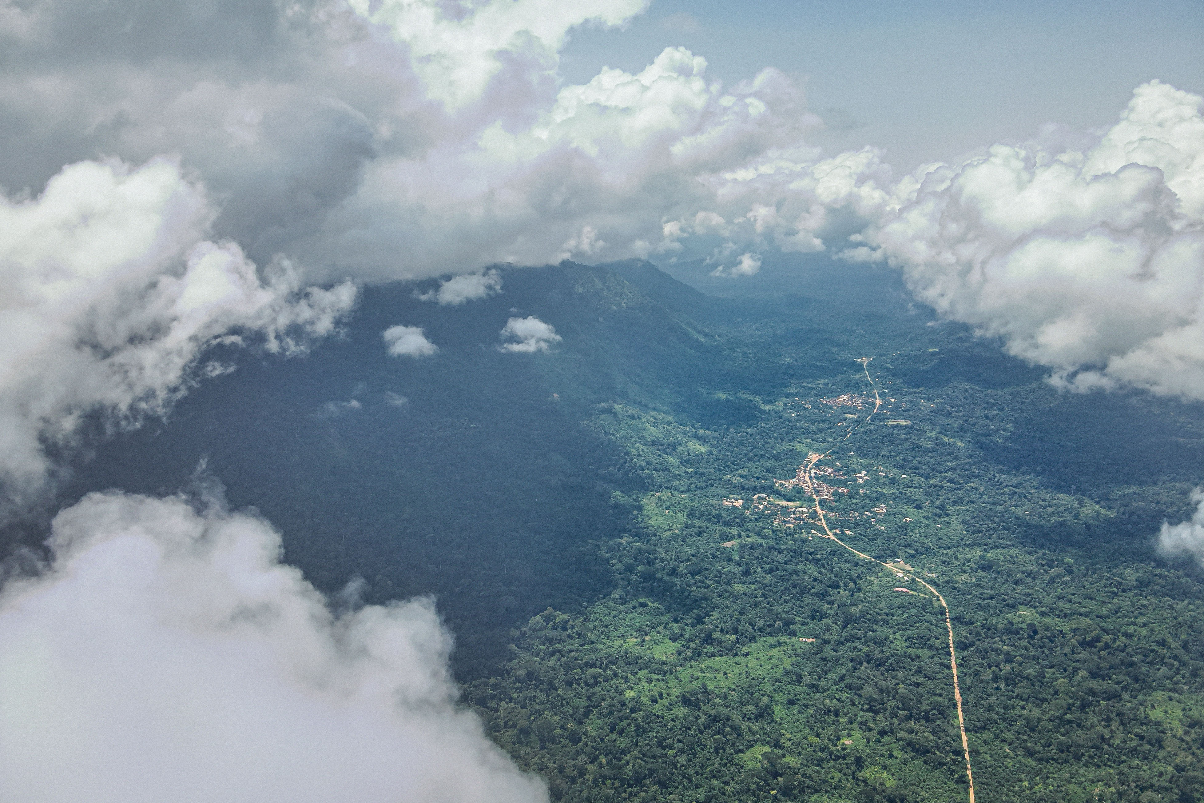drone image of forested landscape surrounded by clouds