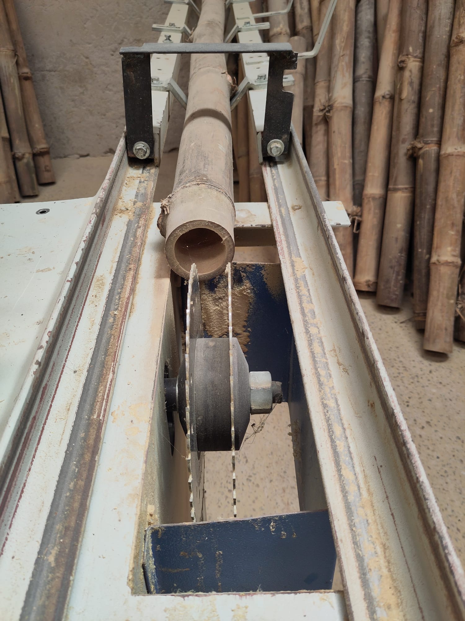uganda bamboo