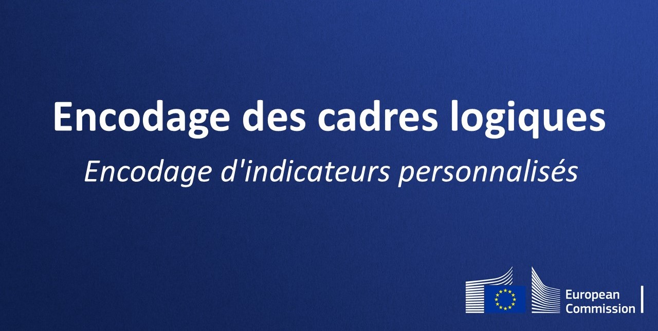 Thumbnail with the text: Encodages des cadres logiques - encodage d'indicateurs personnalisés