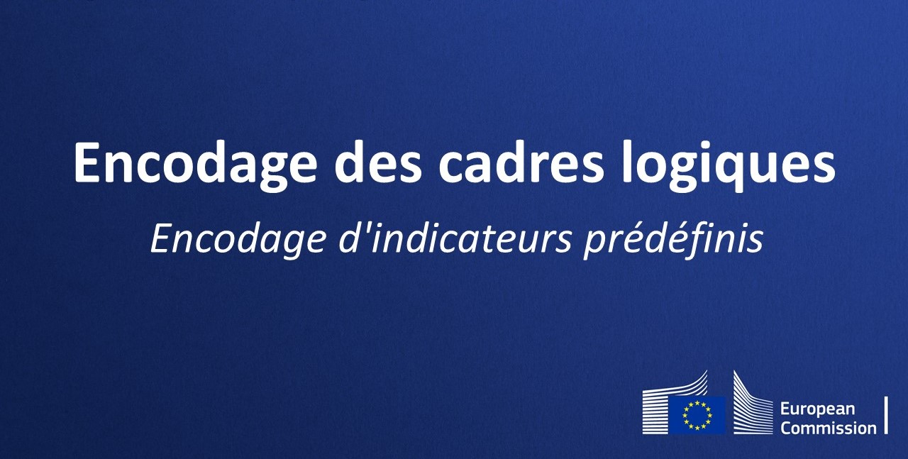 Thumbnail with the text: Encodages des cadres logiques - Encodage d'indicateurs prédéfinis