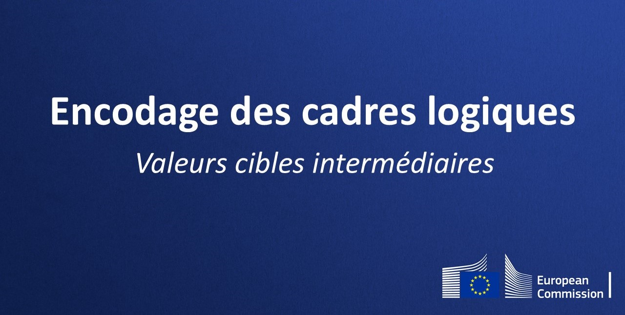 Thumbnail with the text: Encodage des cadres logiques - Valeurs cible intermediaires