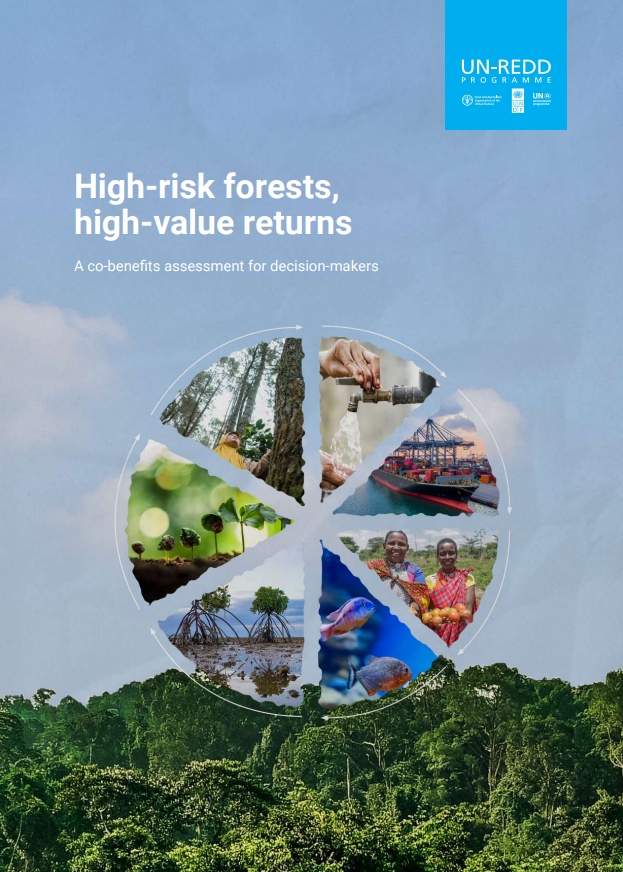 Cover of report with title: High-risk forests, high value returns: A co-benefits assessment for decision-makers. The background shows a blue sky with some trees on the bottom, with a pie chart consisting of various images related to the environment: people, water, a ship, jelly fish, plants growing, trees.