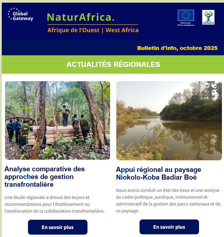 image showing newsletter banner and top stories