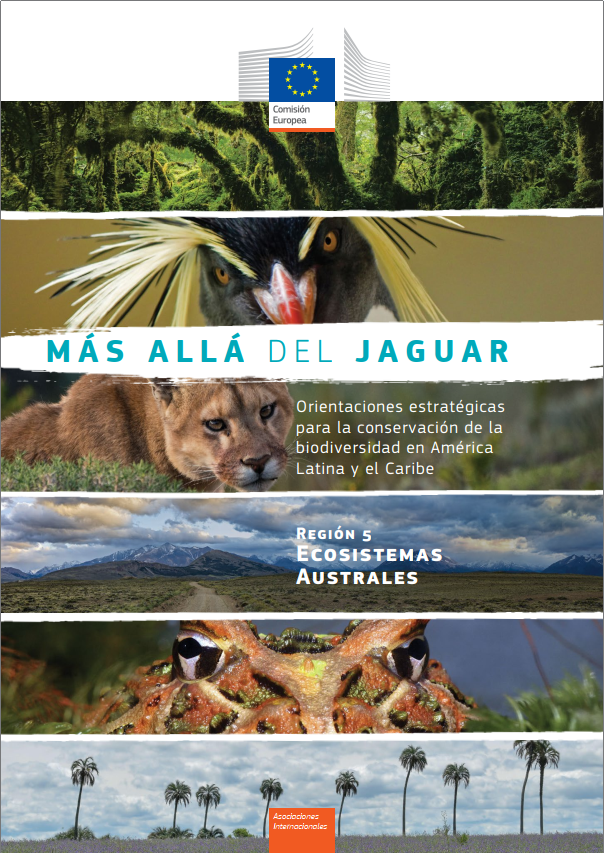 report cover image with title and photo of nature in Latin America