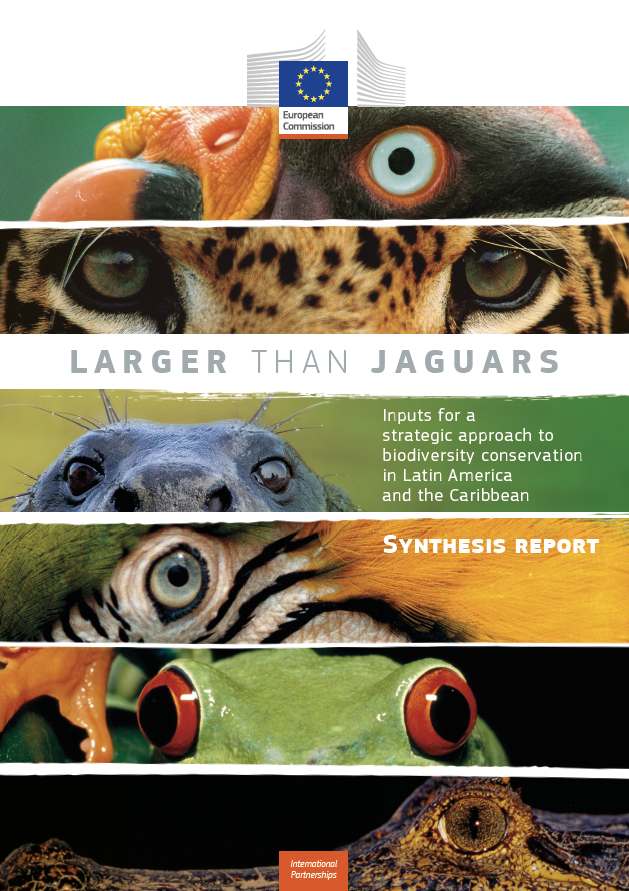 report cover image with title and photo of nature in Latin America