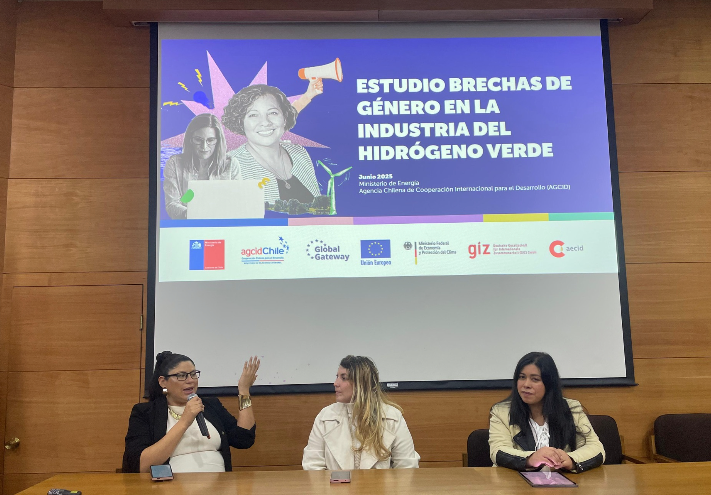 Advancing substantive equality in the green transition: How Euroclima ...