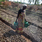 PRERECOM project in Burundi 