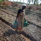 PRERECOM project in Burundi