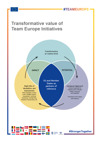 t-_14-transformative_value