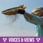 Producción de arroz sostenible en Java Central y Oriental: proyecto Arroz Bajo en Carbono