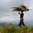 Women collecting wood Uganda