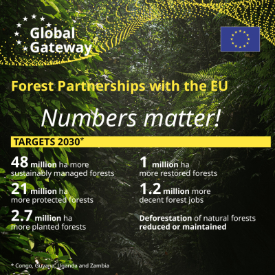 Numbers matter All countries