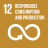 Responsible Consumption And Production_SDG