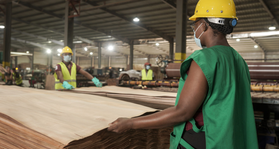 Plywood manufacturing in the Nkok SIZ, Gabon ©GSIZ 