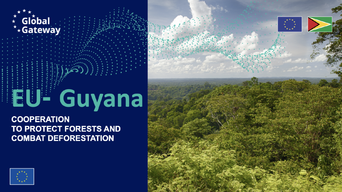 EU - Guyana
