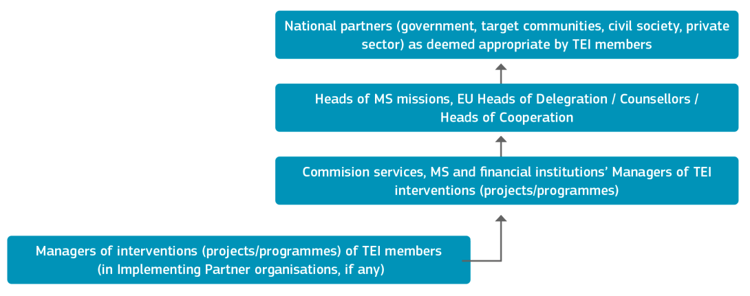 Data flow at individual TEI level