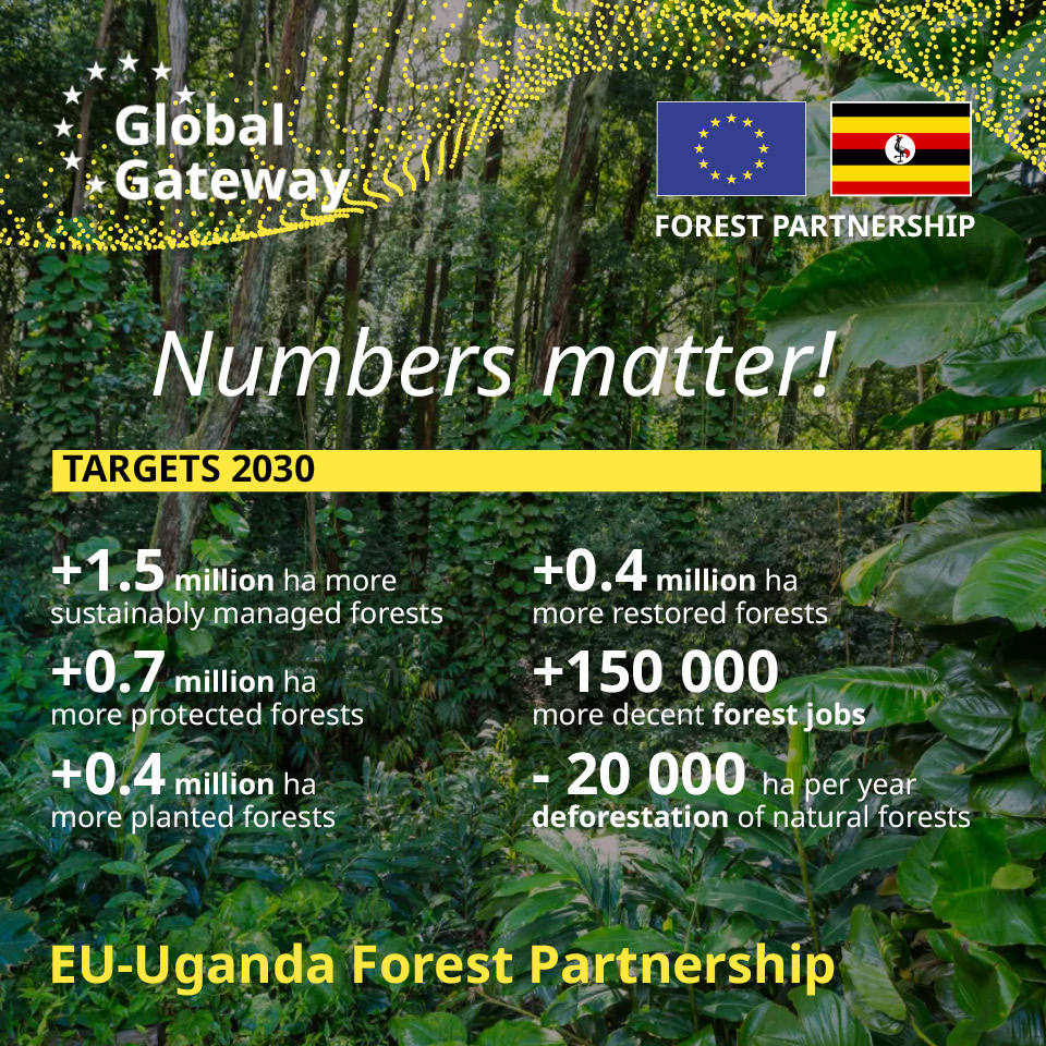 Numbers matter Uganda