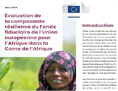 EUTF evaluation briefing decorative image