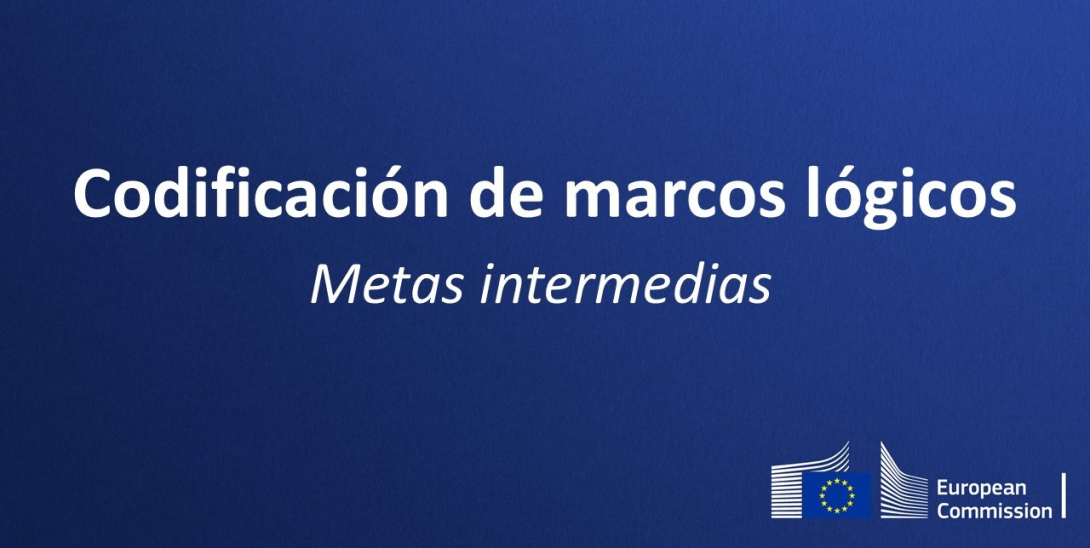 DECORATIVE IMAGE "codificacion de marcos logicos: metas intermedias