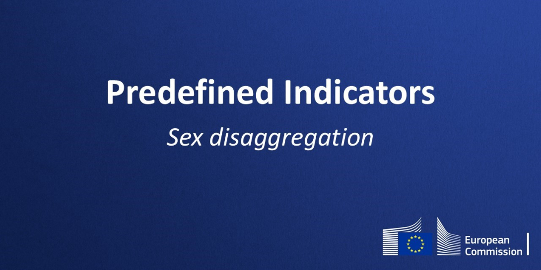 Thumbnail with the text: Predefined indicators: sex disaggregation