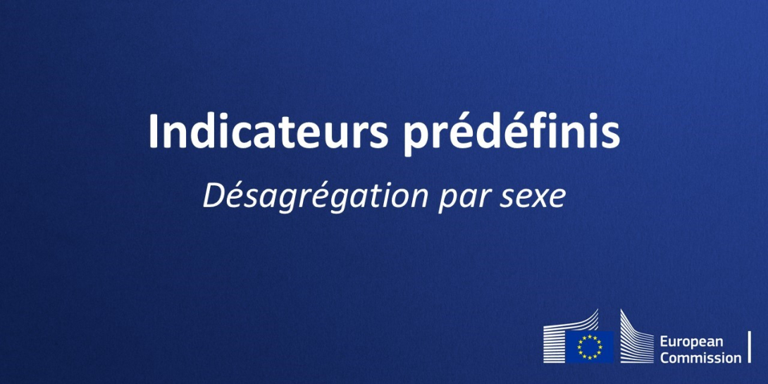 Thumbnail with the text: indicateurs predefinis - desagregation par sexe