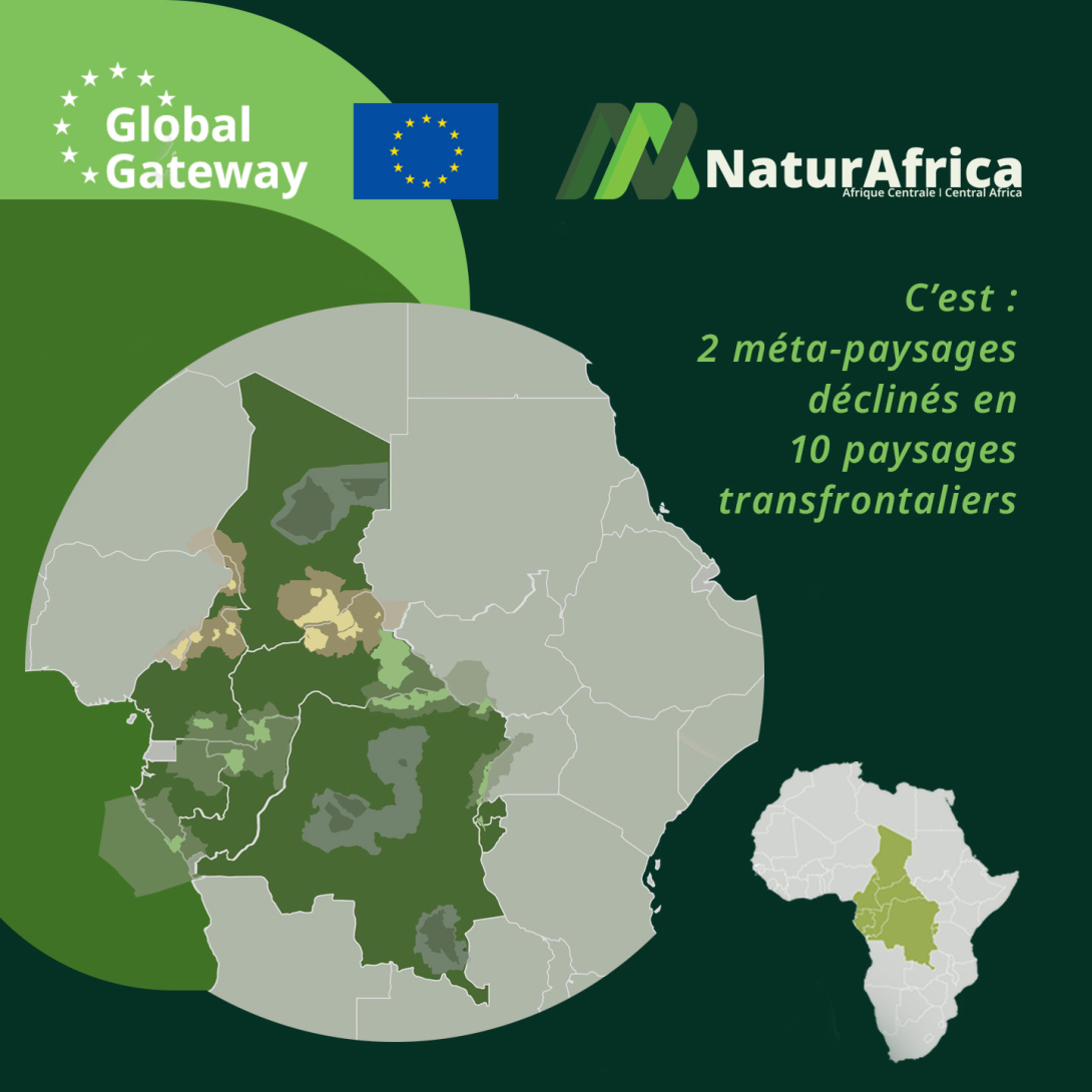 NaturAfrica Afrique Centrale, C’est : 2 méta-paysages déclinés en 10 paysages transfrontaliers.