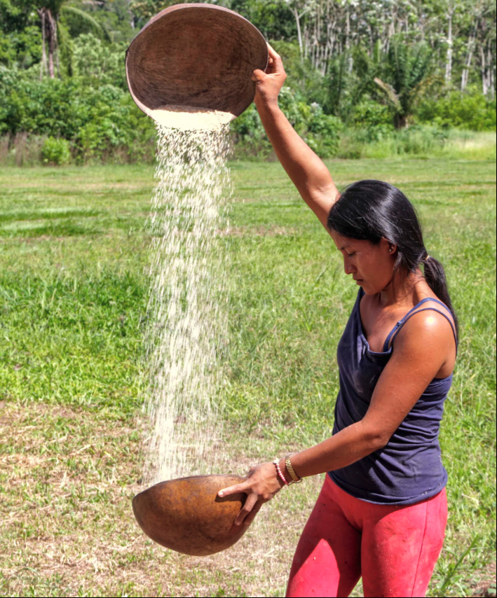 Mujeres en la acción climática ambiental