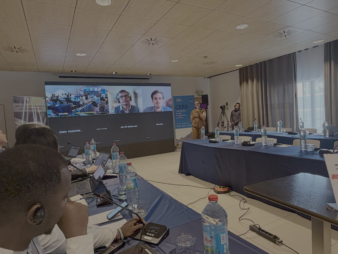 CEPA AfEES Madagascar